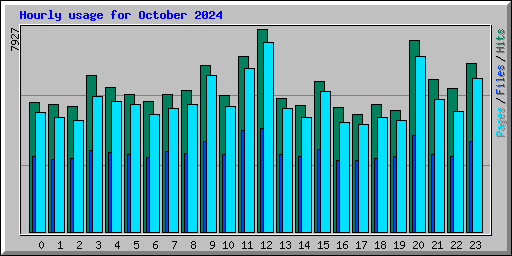 Hourly usage for October 2024